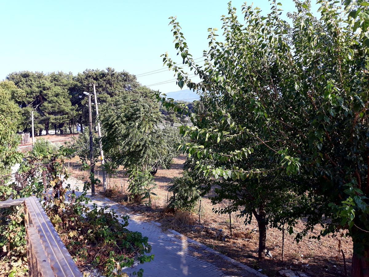 Can Efes Hotel Selçuk Exterior foto